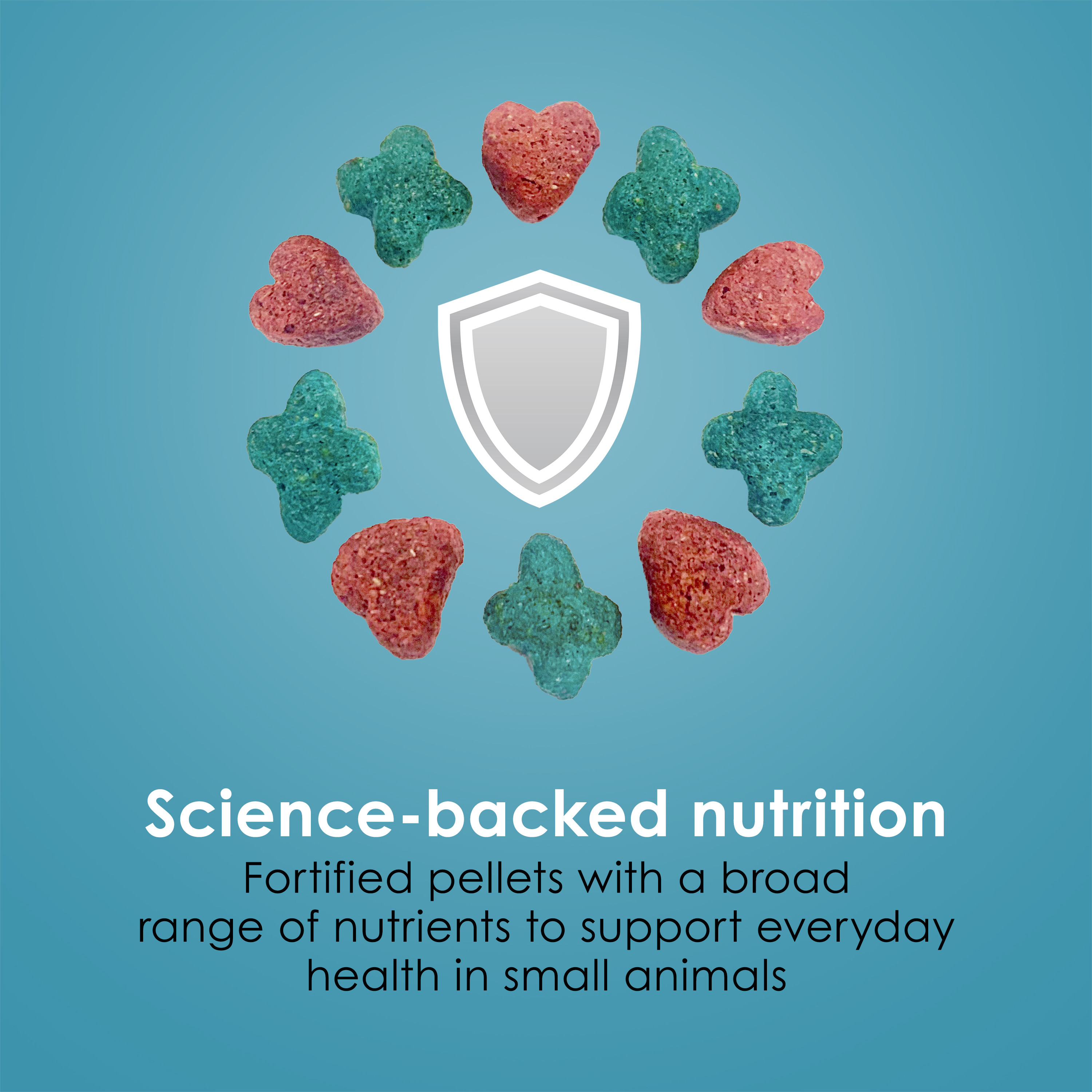 Mouse_Infographic05