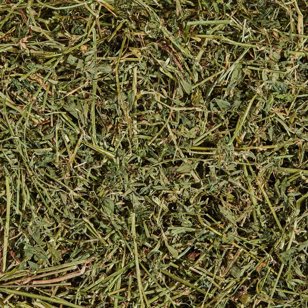 Kaytee Alfalfa Hay
