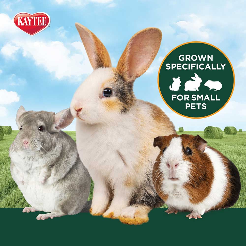Kaytee-timothy-hay-plus-cranberry