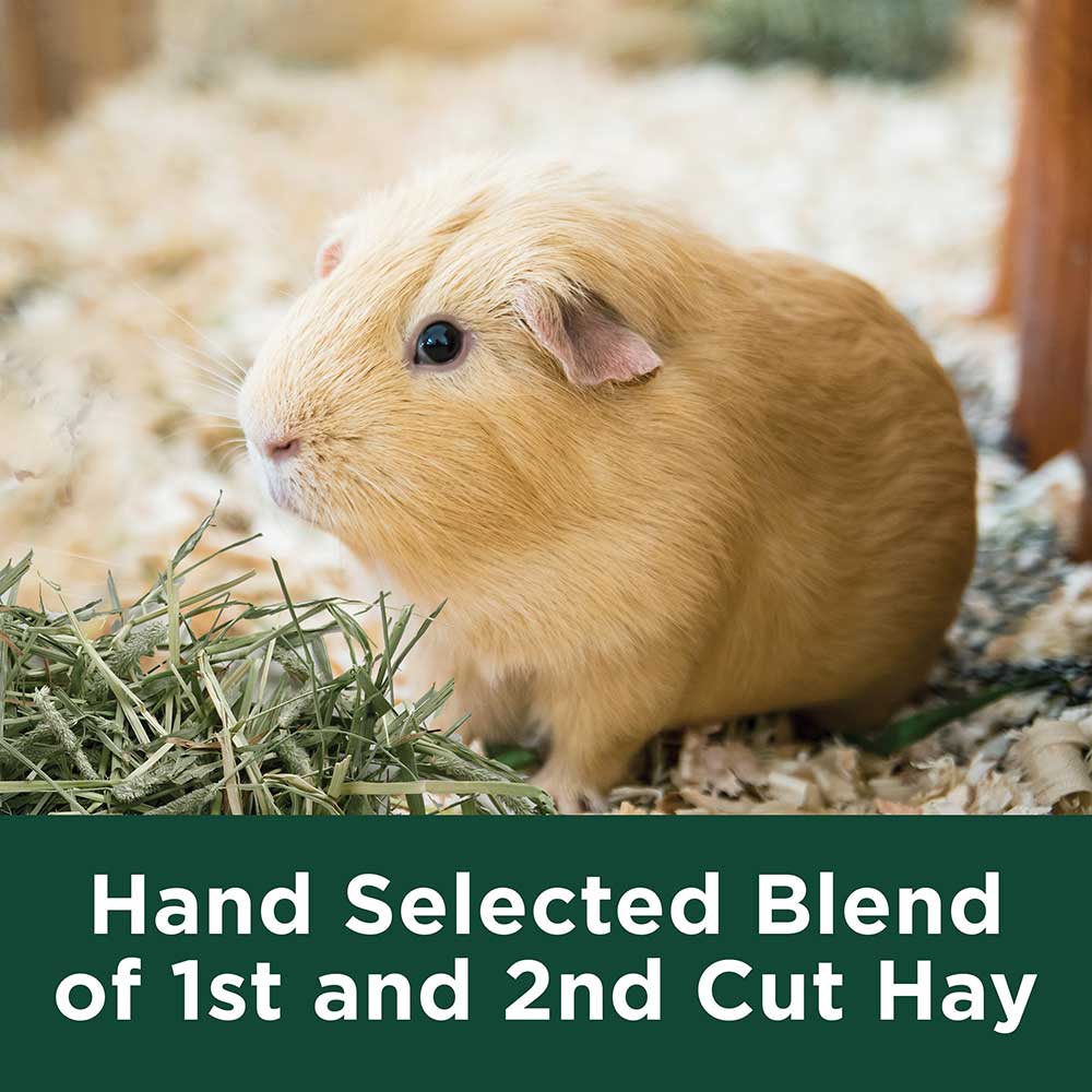 Kaytee-timothy-hay-plus-cranberry