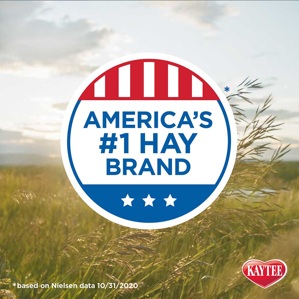 Kaytee-timothy-hay-plus-cranberry