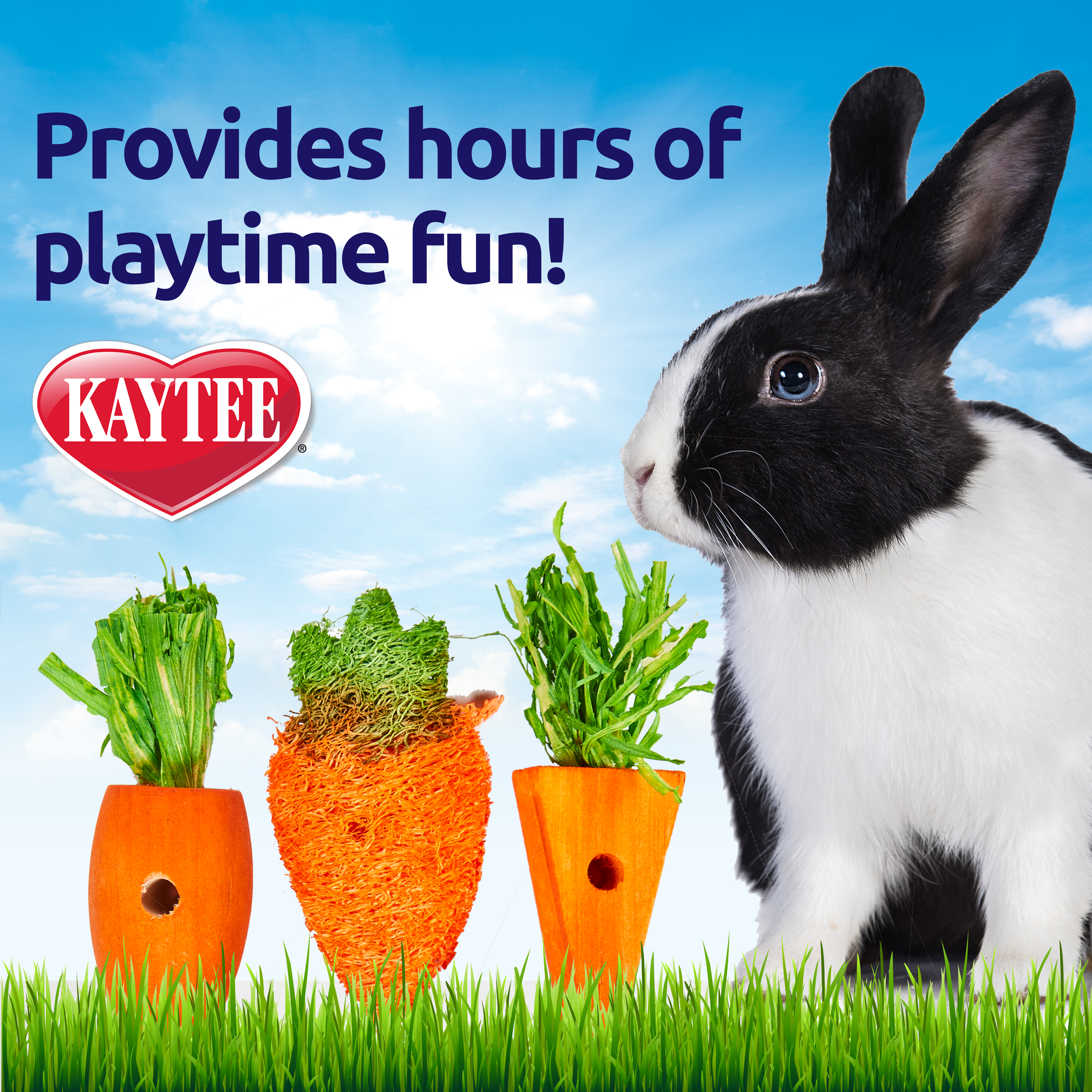 Kaytee Chew Toy Carrot Patch Benefits