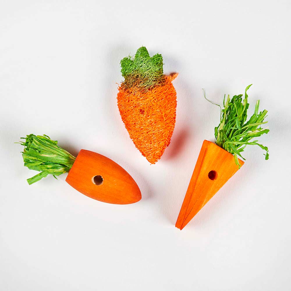 Kaytee Chew Toy Carrot Patch Out of Package