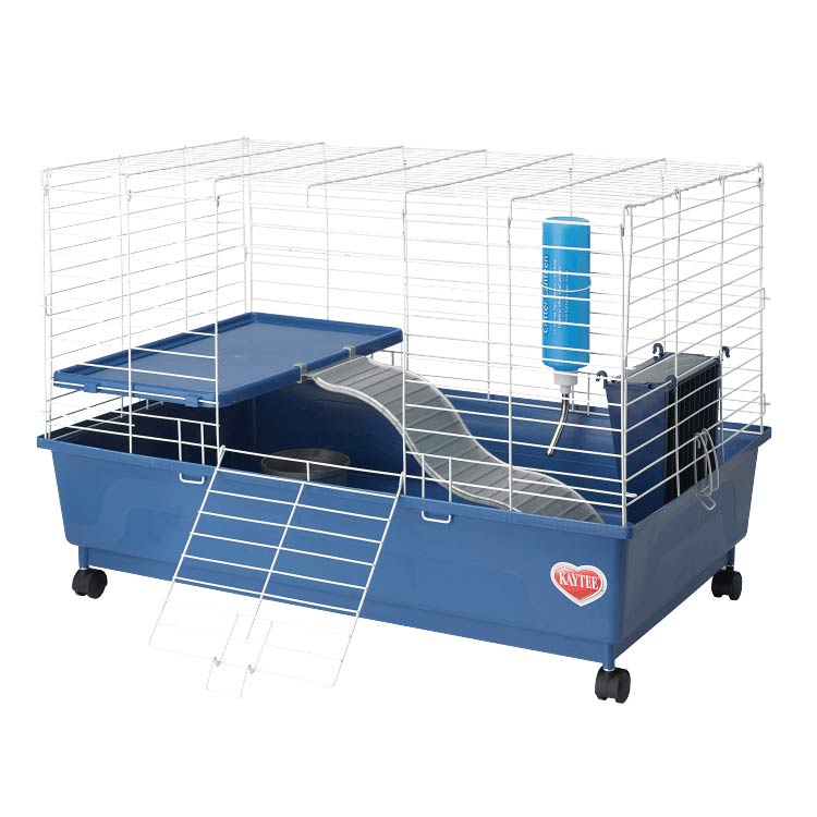 Blue guinea pig cage shop