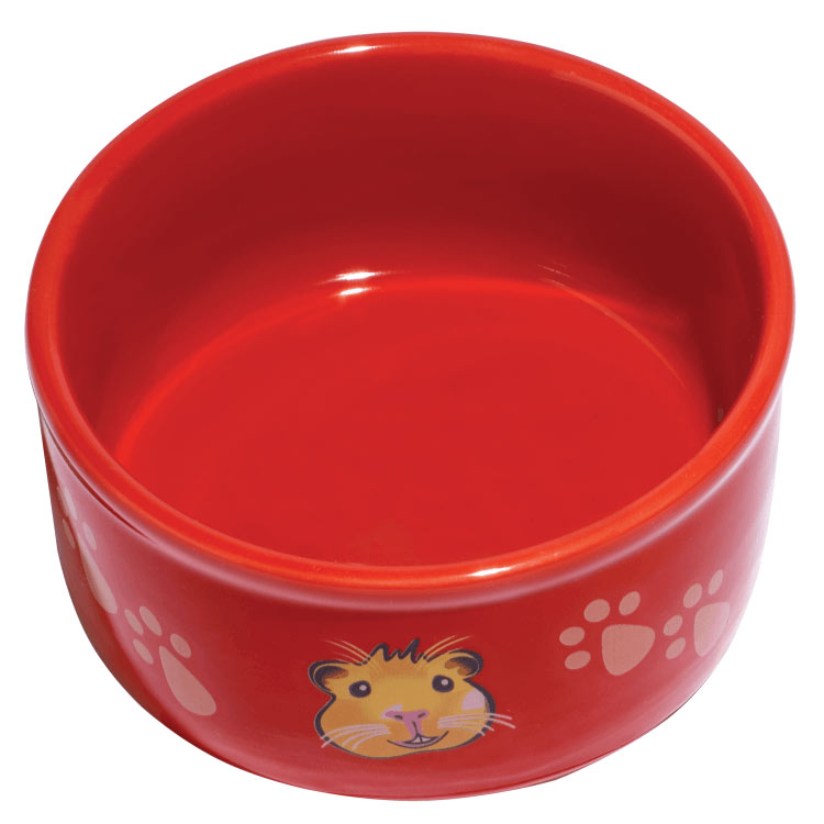 Guinea pig outlet water bowl
