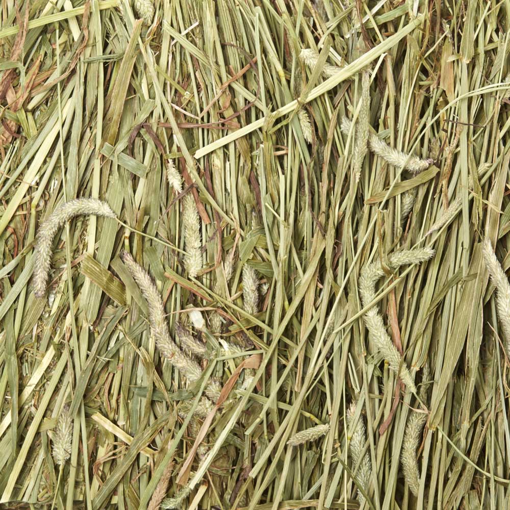 Kaytee Timothy Hay Wafer Cut