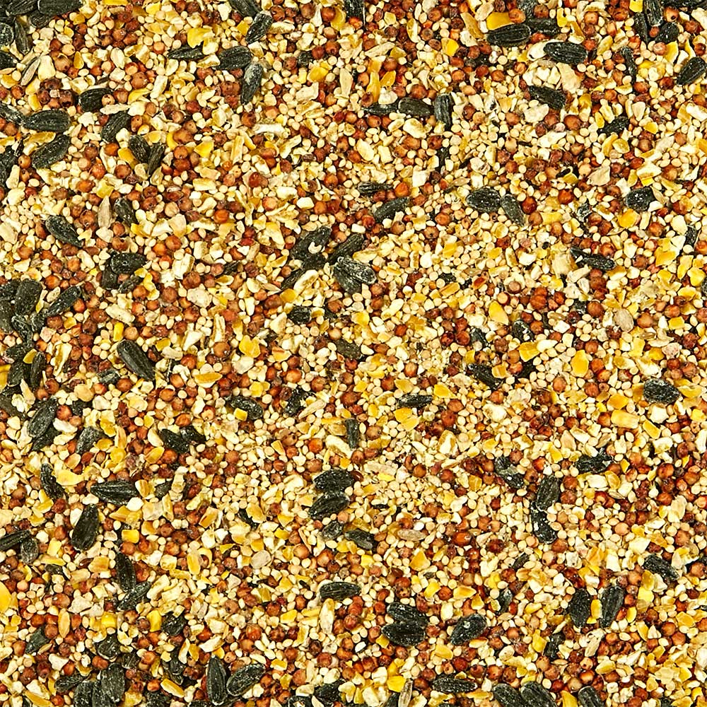 Kaytee All American Wild Bird Food