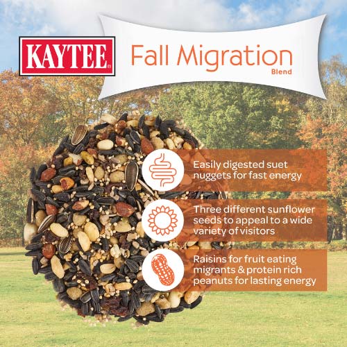 Kaytee-fall-migration-wild-bird-seed