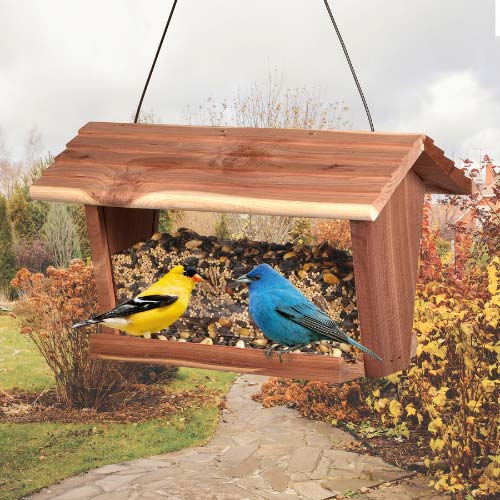 Kaytee-fall-migration-wild-bird-seed