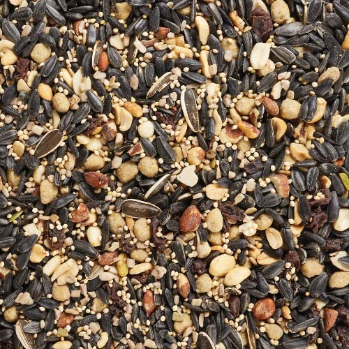 Kaytee-fall-migration-wild-bird-seed