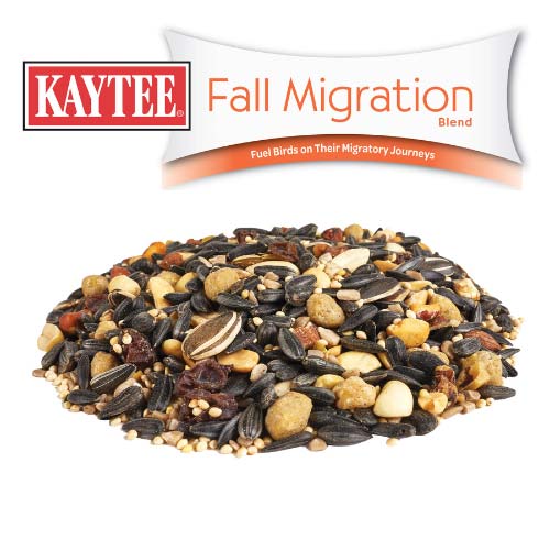 Kaytee-fall-migration-wild-bird-seed