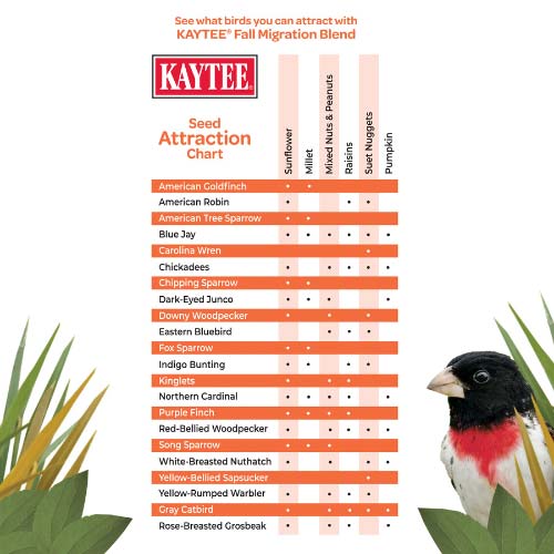 Kaytee-fall-migration-wild-bird-seed