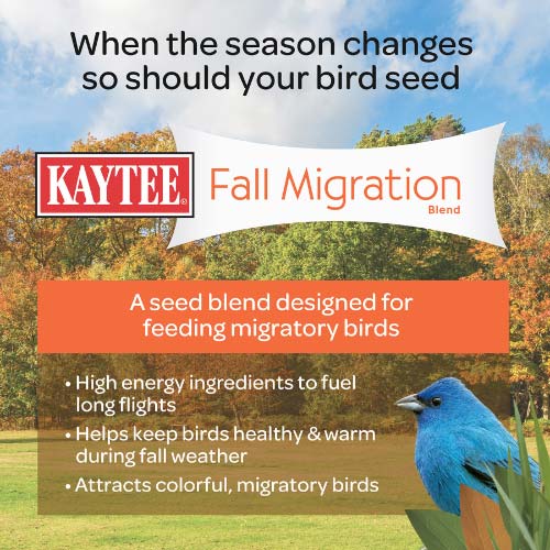 Kaytee-fall-migration-wild-bird-seed