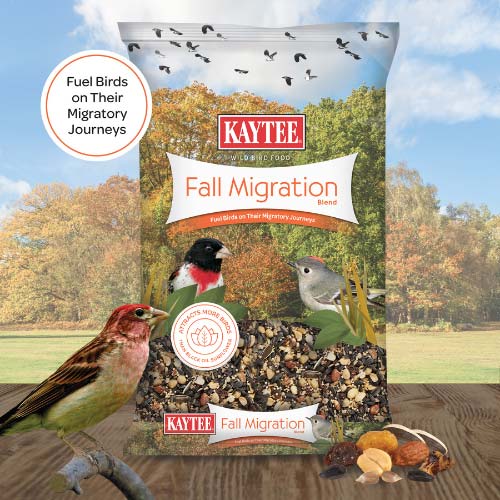 Kaytee-fall-migration-wild-bird-seed