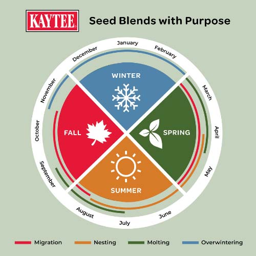 Kaytee-fall-migration-wild-bird-seed