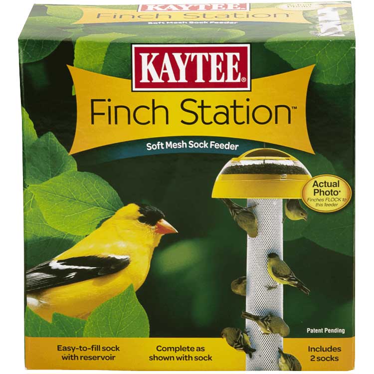 Finch Station and Sock Mesh Feeder