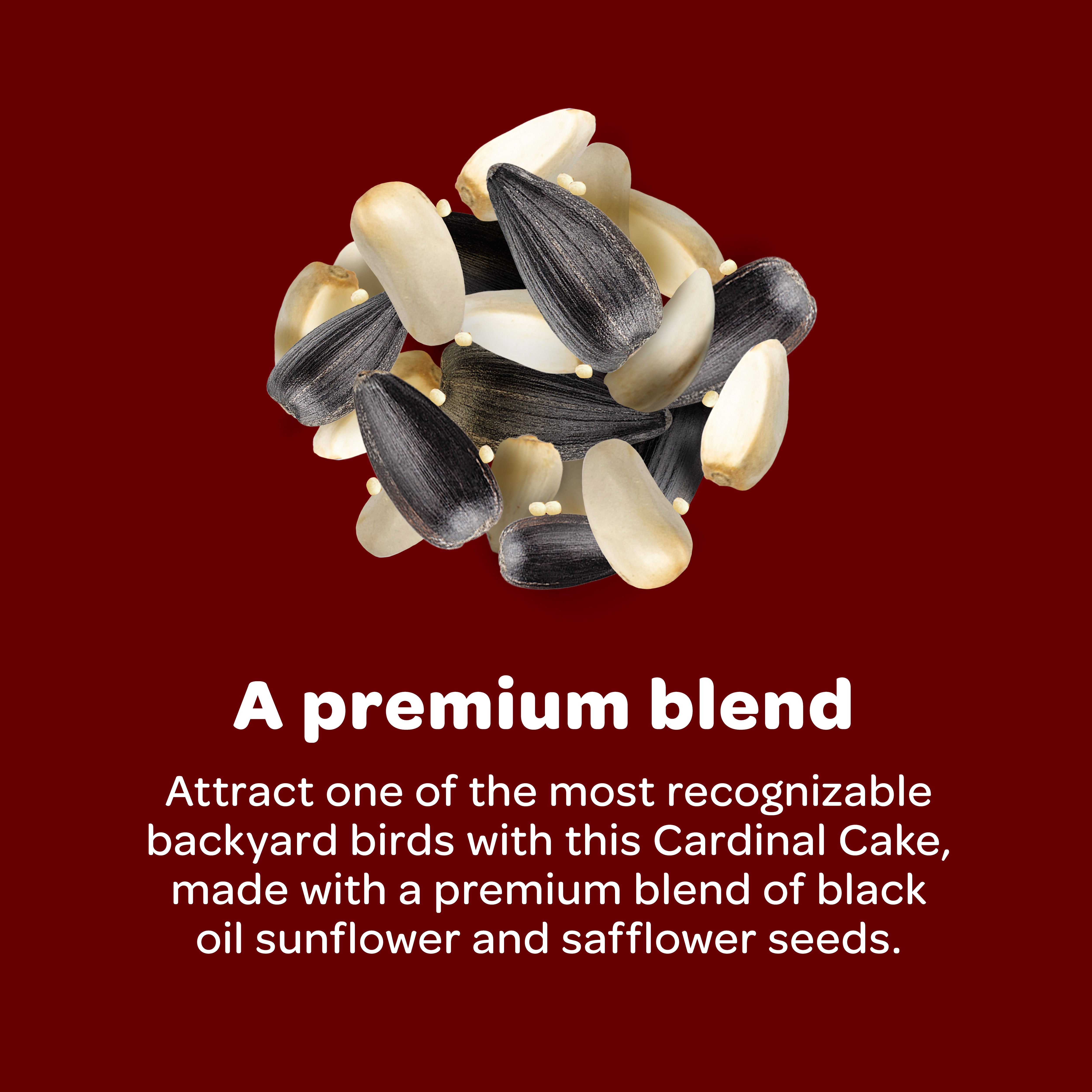 19620_KT_WB_CardinalCake_Tile2_IngredPile