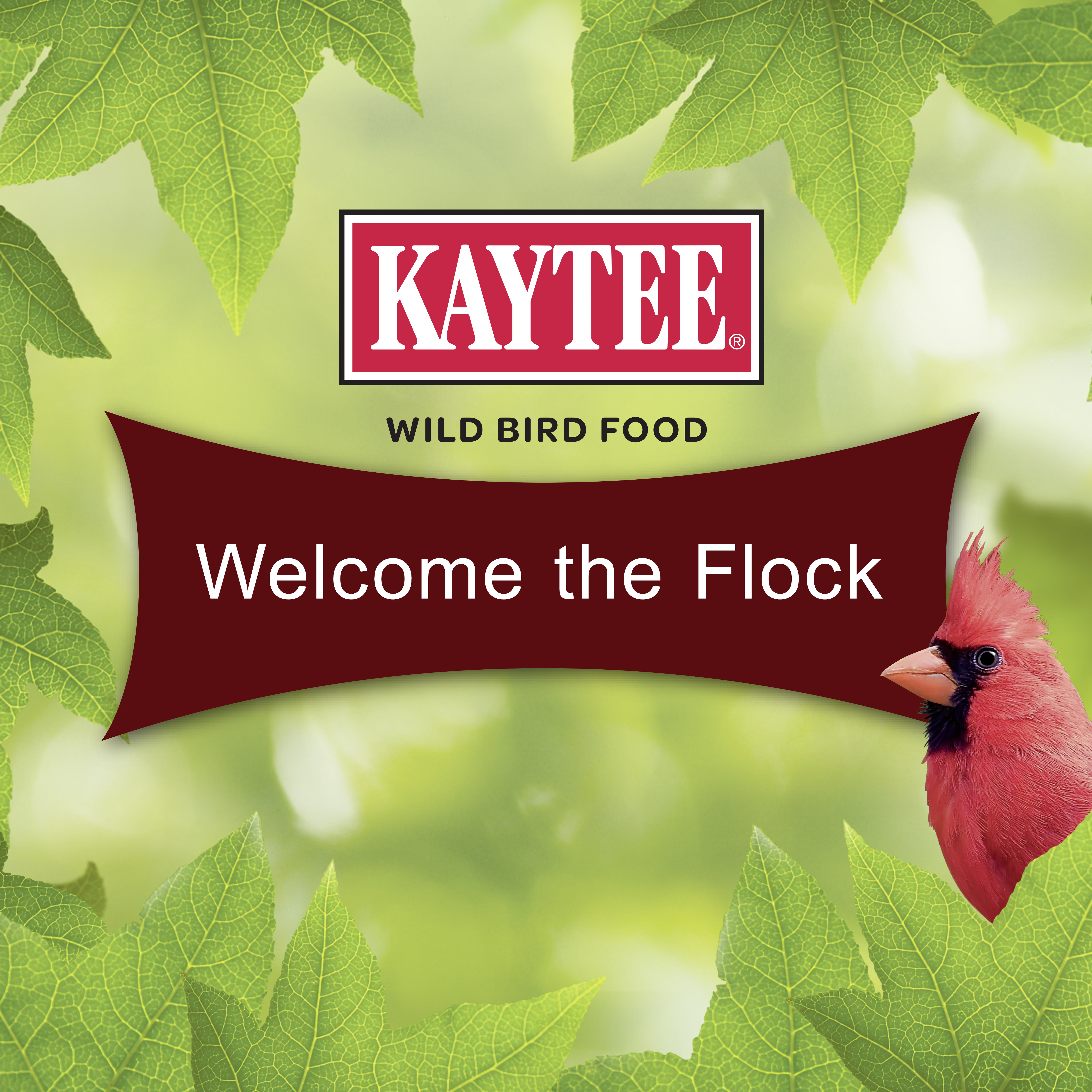 19620_KT_WB_CardinalCake_Tile5_Welcome
