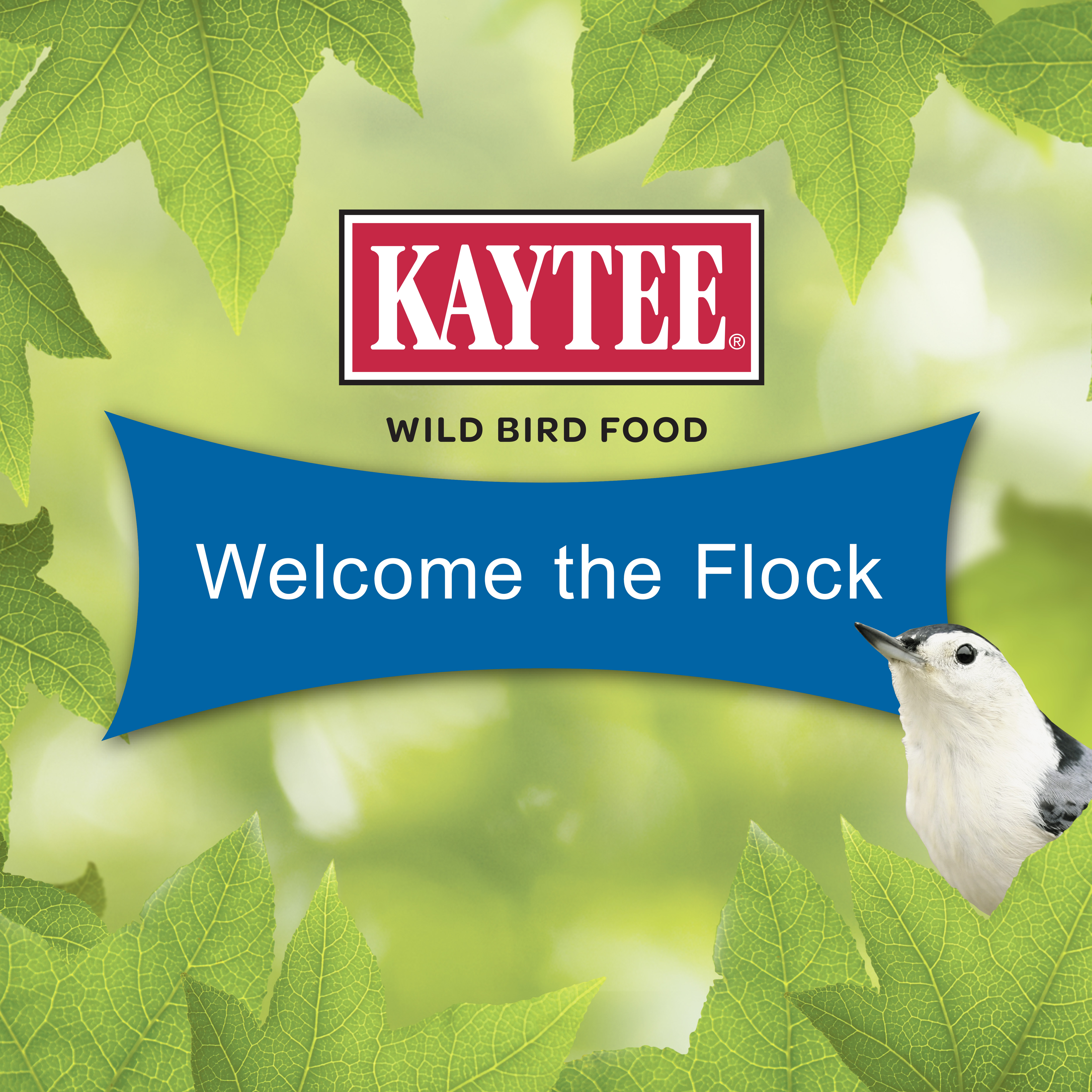 19605_KT_WB_GourmetCake_Tile5_Welcome