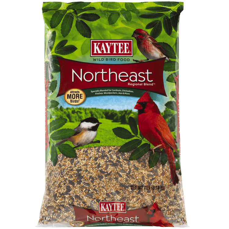 Kaytee Northeast Regional Blend Wild Bird Food
