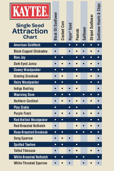 Kaytee Bird Seed Attraction Chart