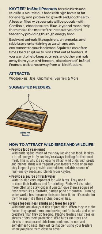 Instructions for feeding wild bird peanuts