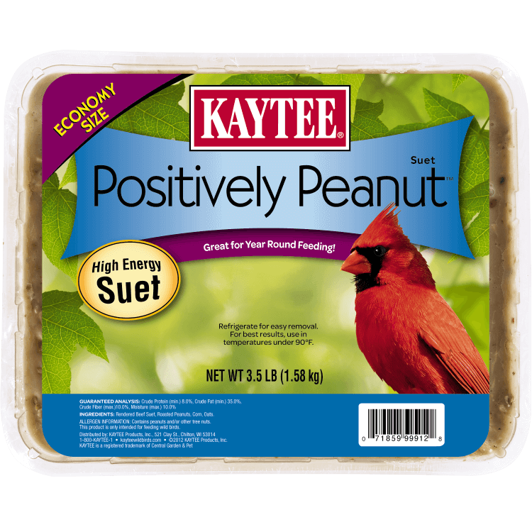 Kaytee Positively Peanut Suet