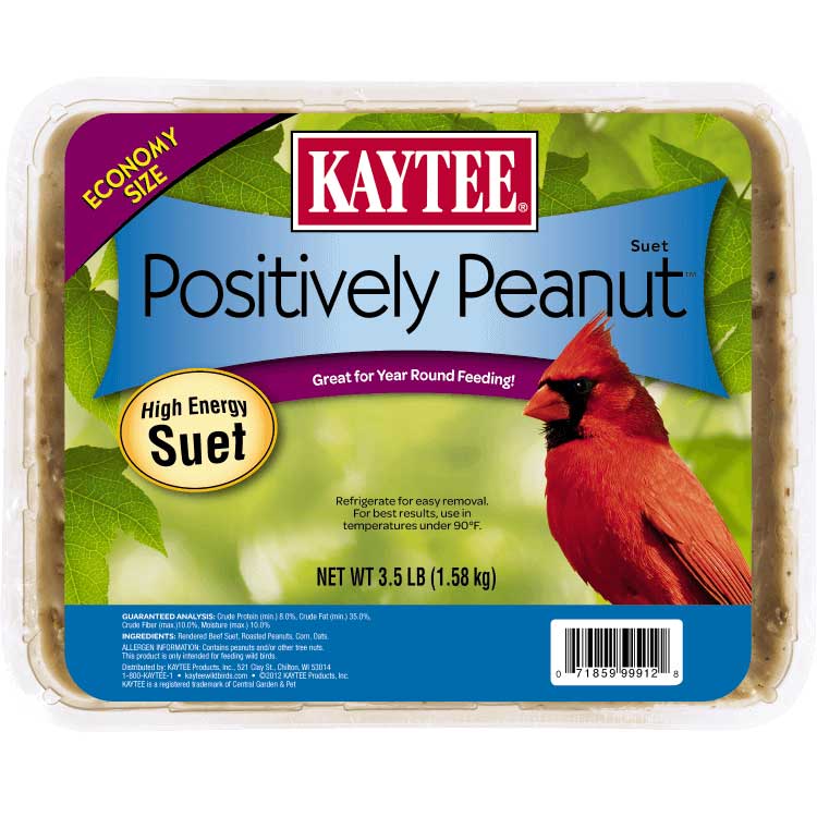 Kaytee Positively Peanut Suet