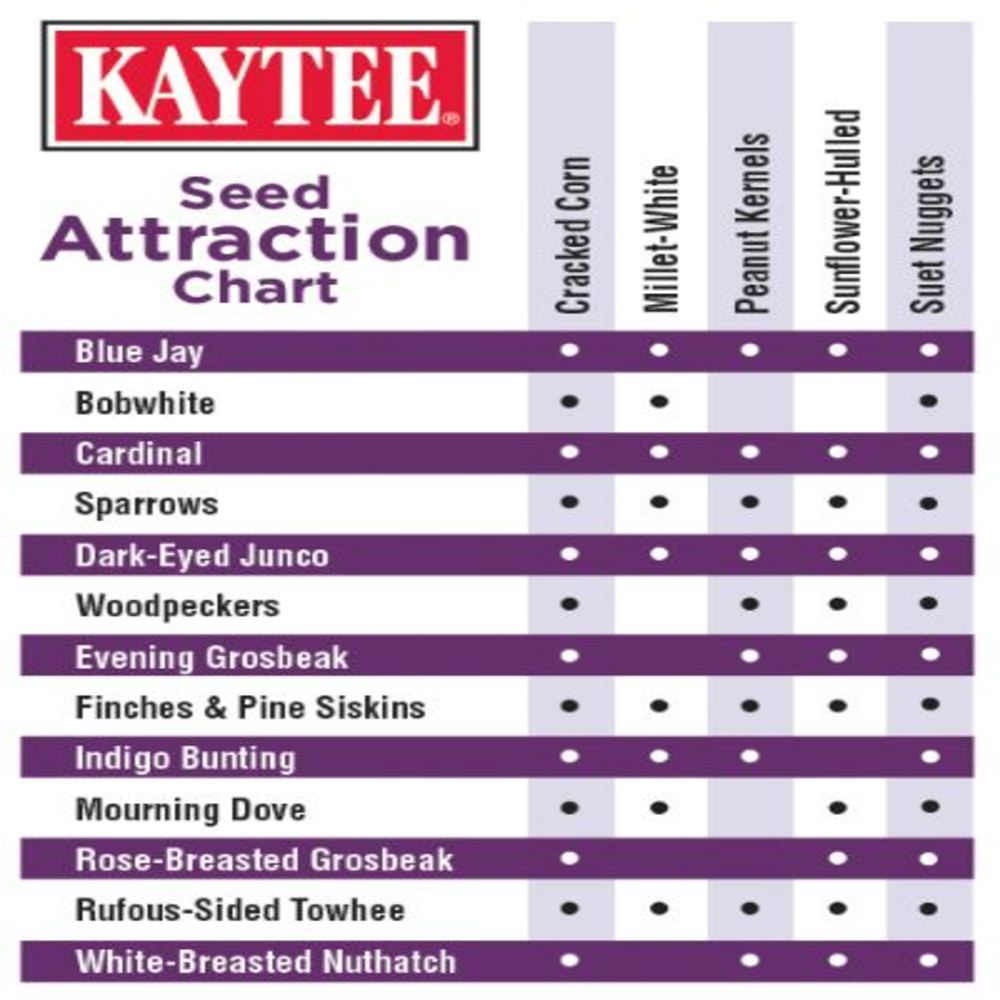 Kaytee-seed-and-suet-berry-wild-bird-food