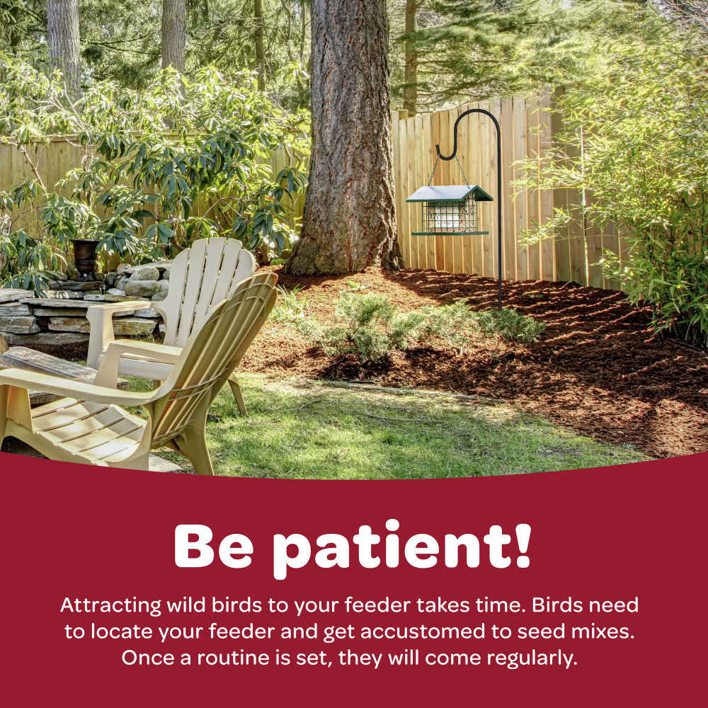 100037715-kaytee-select-wild-bird-seed-9-lb-14