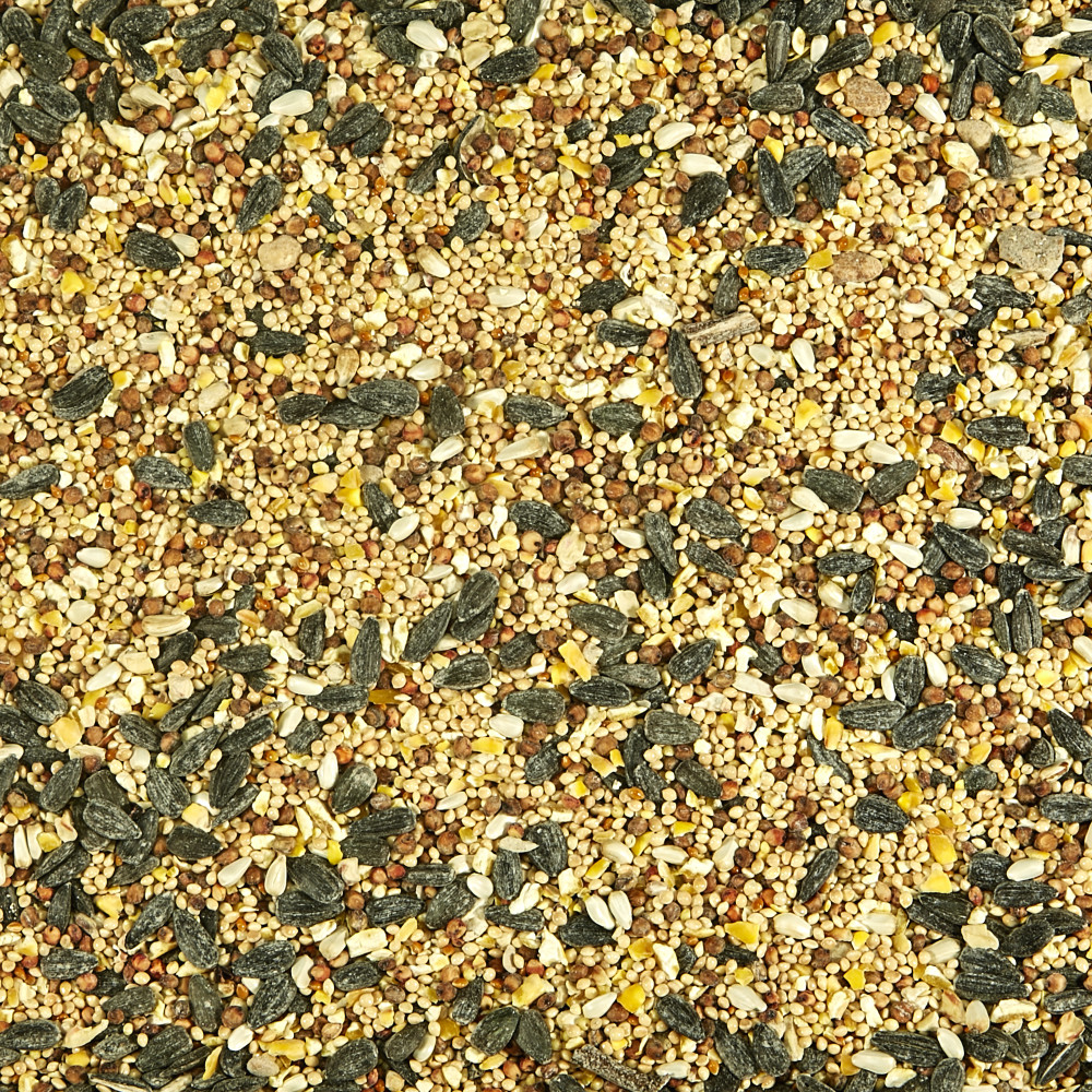 100037715-kaytee-select-wild-bird-seed-9-lb-5