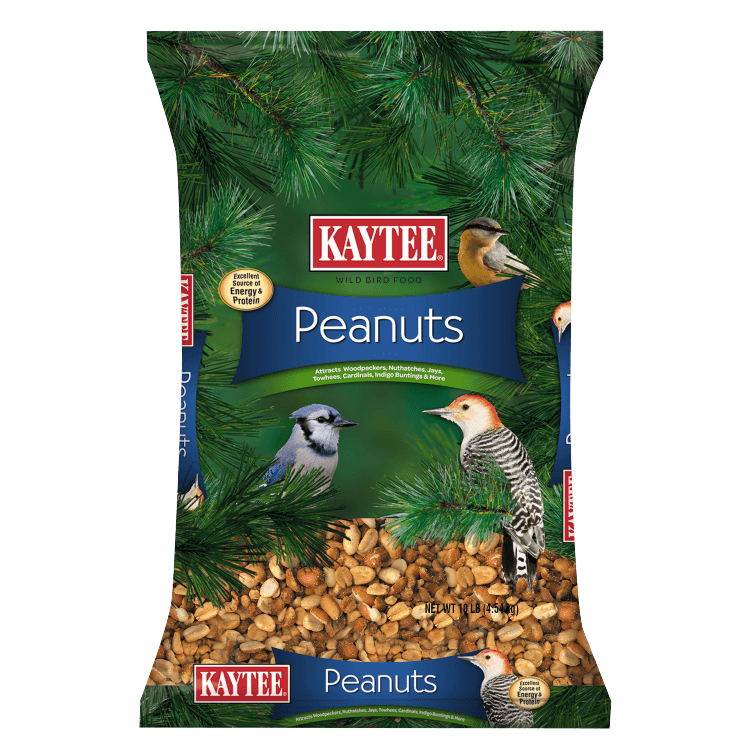 Kaytee Shelled Peanuts for Wild Birds