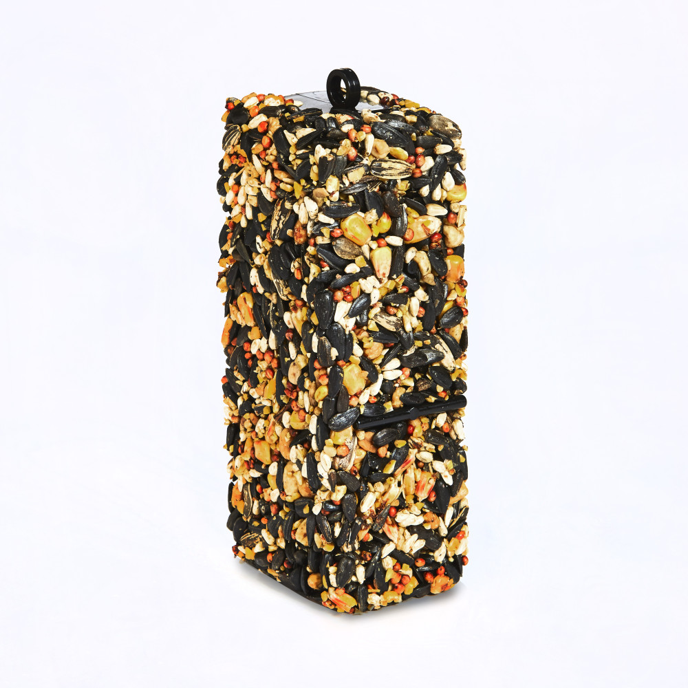 100061939-kaytee-woodpecker-bird-seed-bar-11-oz-3