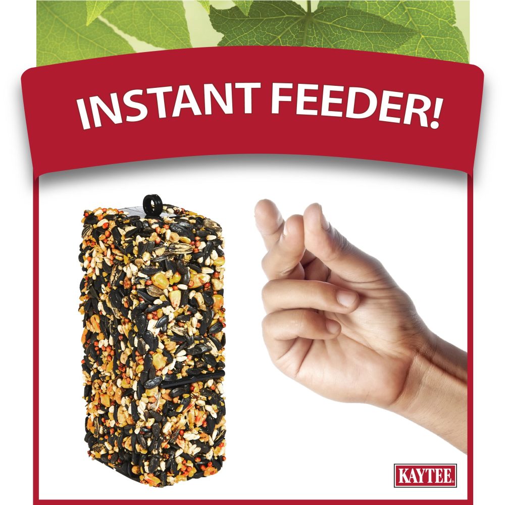 100061939-kaytee-woodpecker-bird-seed-bar-11-oz-5