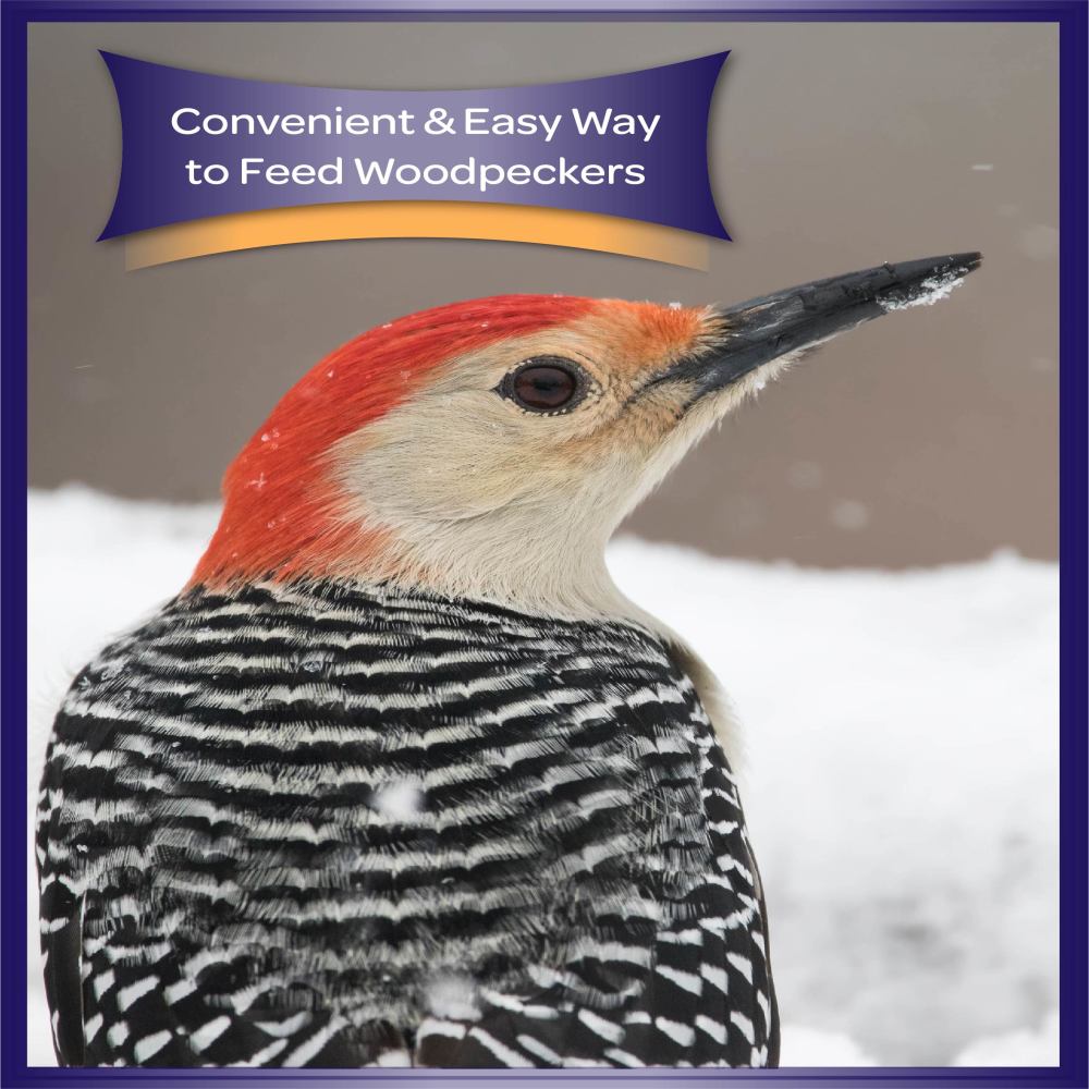 100061939-kaytee-woodpecker-bird-seed-bar-11-oz-6
