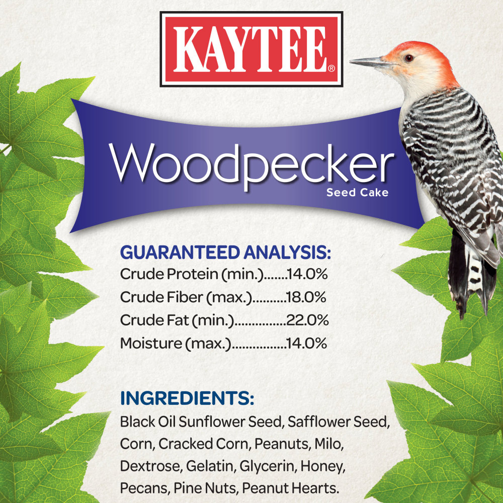 What Bird Seed Do Woodpeckers Eat: Top Choices for Your Feeder