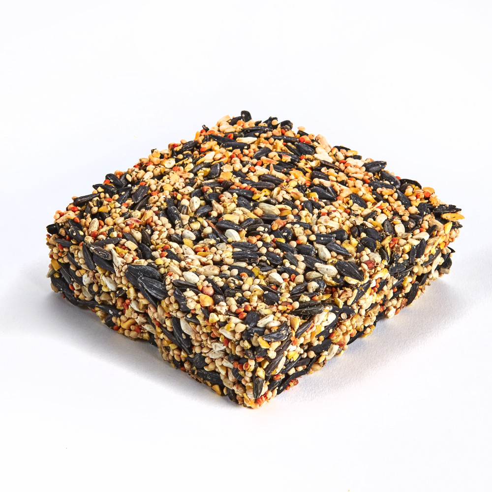 100037050-kaytee-woodpecker-mini-cake-75-oz-3