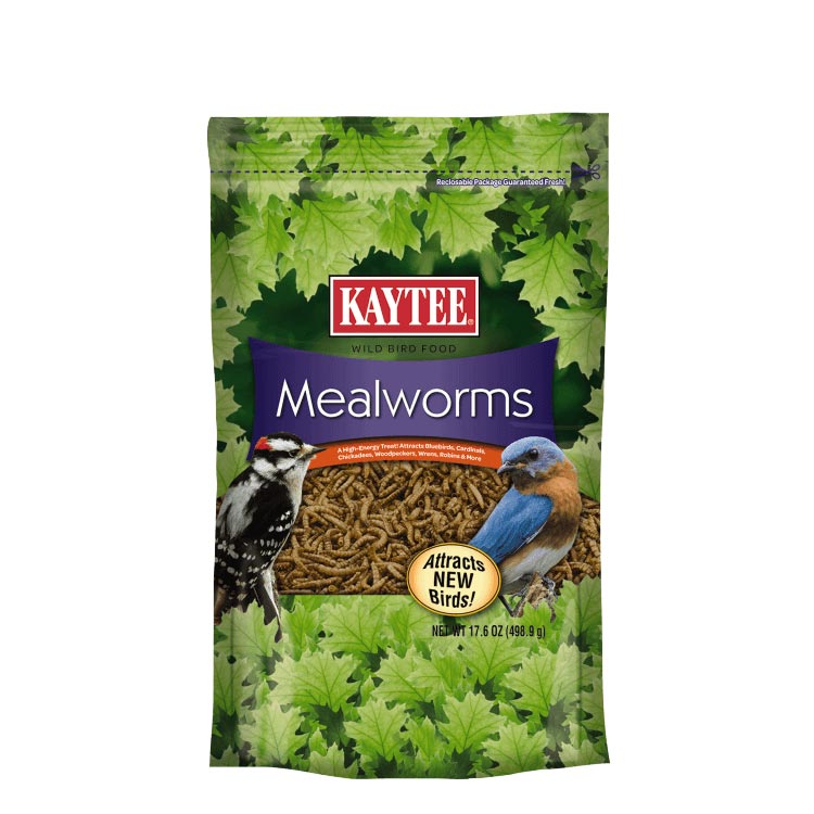 Kaytee Mealworms Kaytee Mealworms