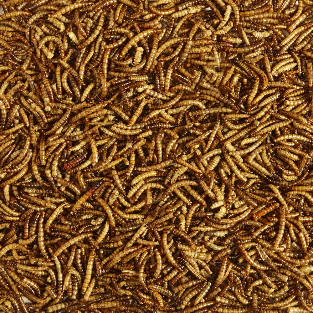 100509357-kaytee-mealworm-food-pouch-35-ounces-3
