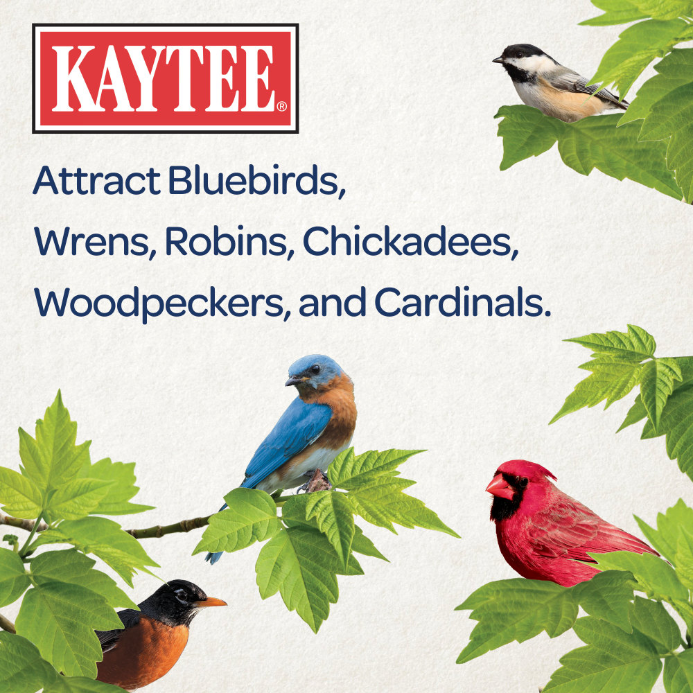 100509357-kaytee-mealworm-food-pouch-35-ounces-5