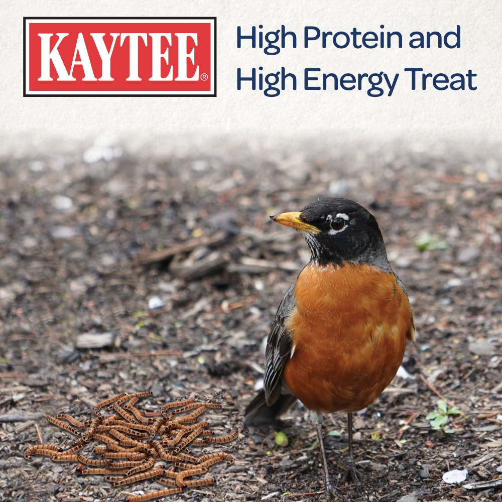100509357-kaytee-mealworm-food-pouch-35-ounces-6
