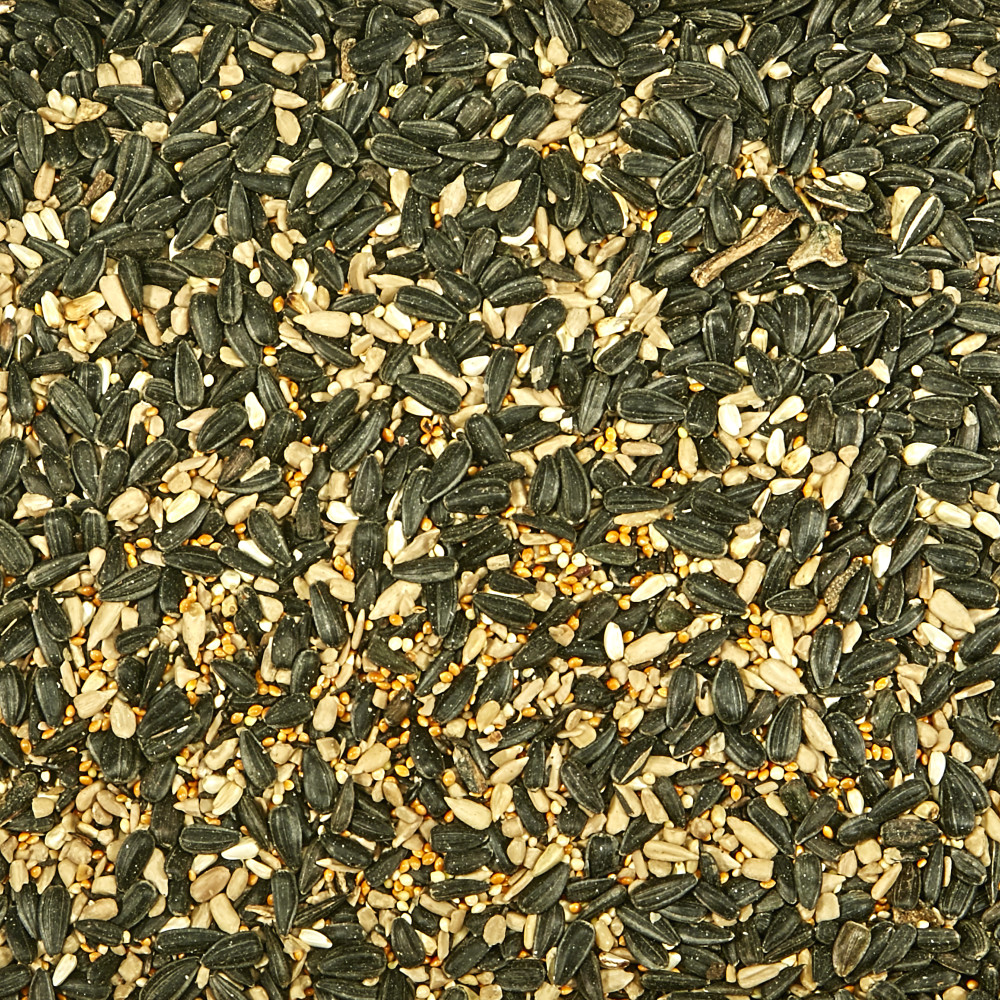 100037515-kaytee-midwestern-regional-blend-wild-bird-food-7-lb-3