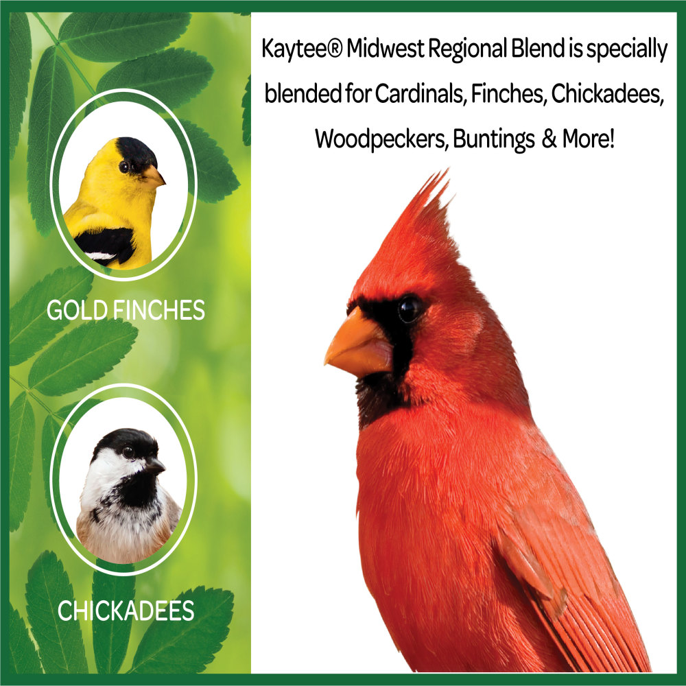 100037515-kaytee-midwestern-regional-blend-wild-bird-food-7-lb-8