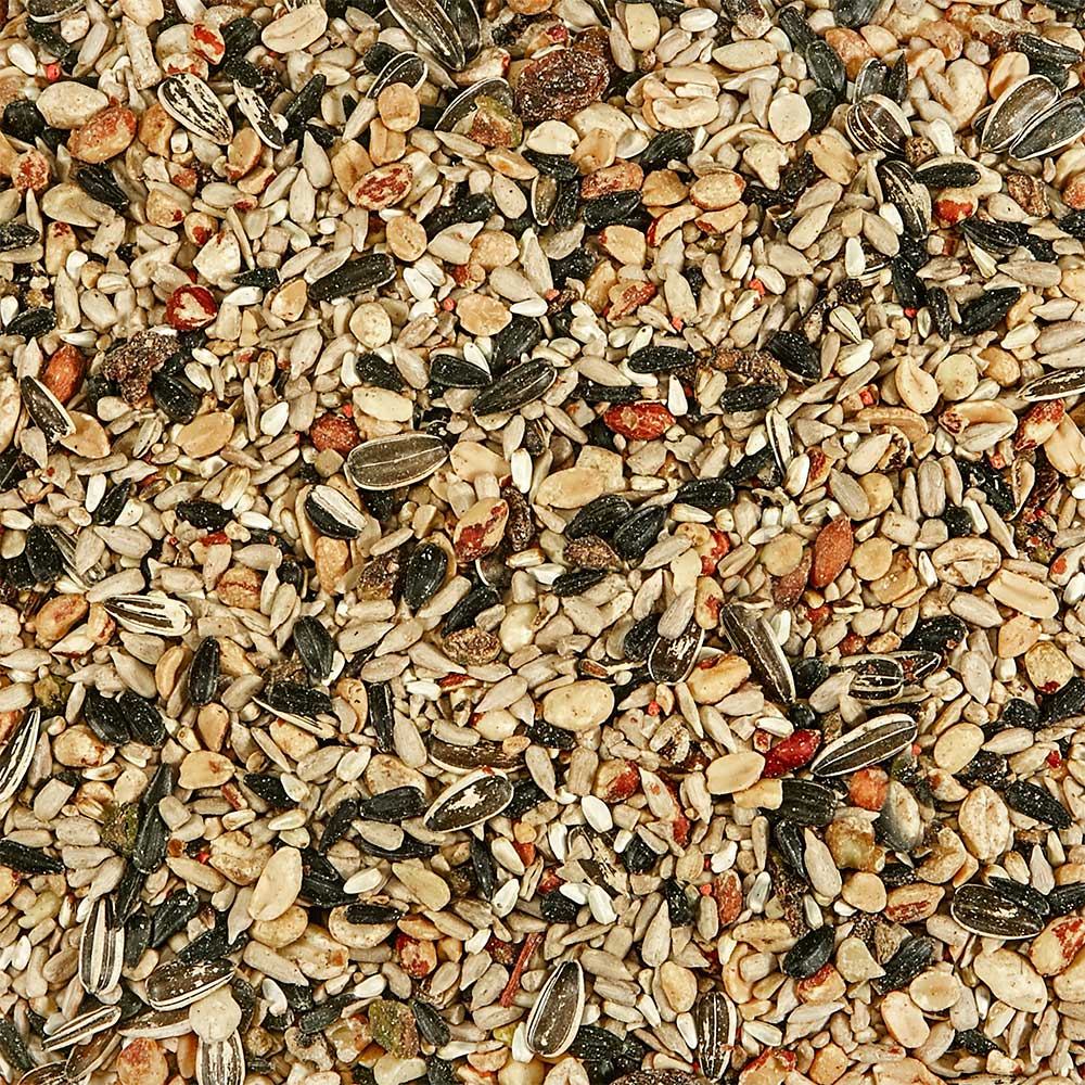 Kaytee Fruit & Nut Blend Wild Bird Food