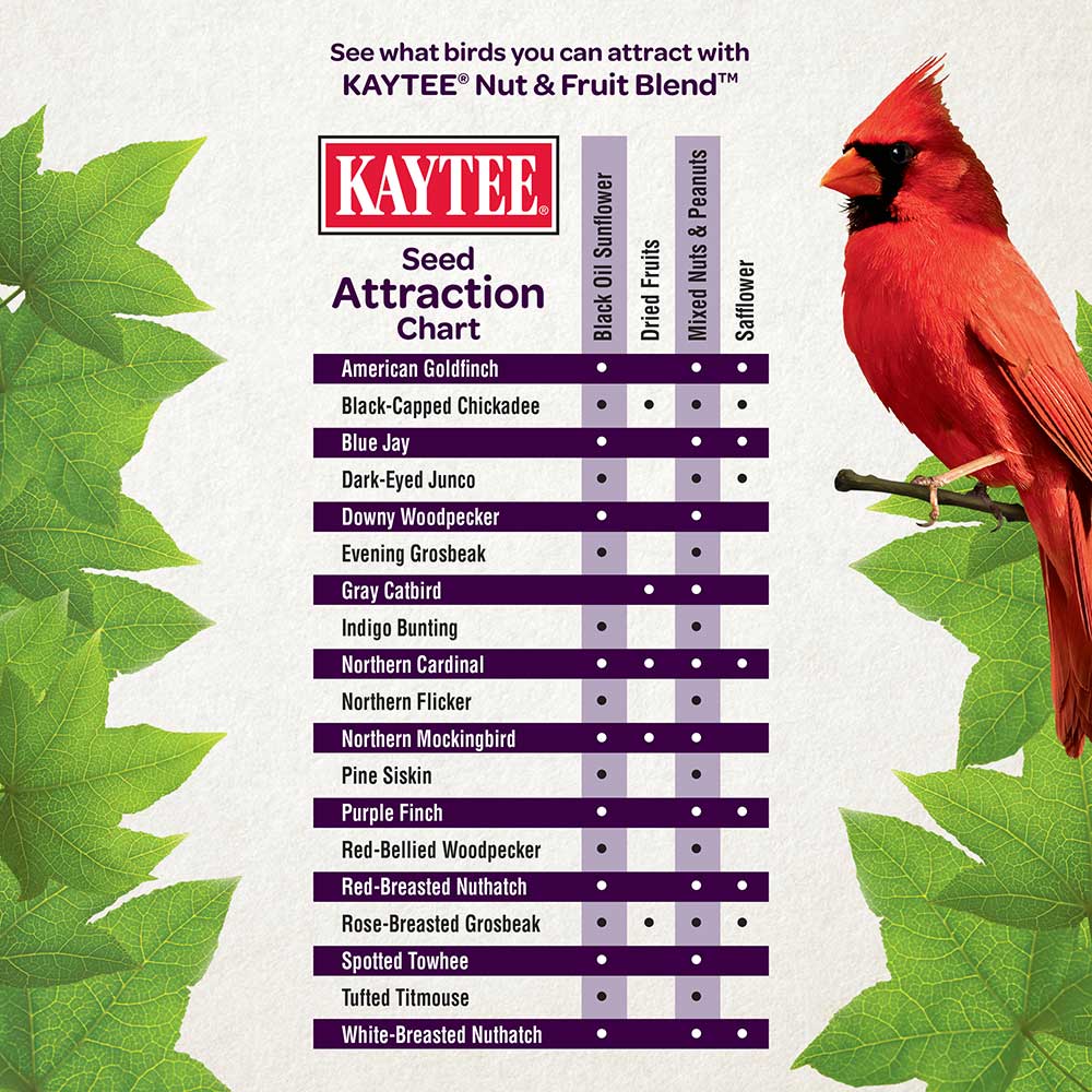 Kaytee Nut & Fruit Blend Wild Bird Food