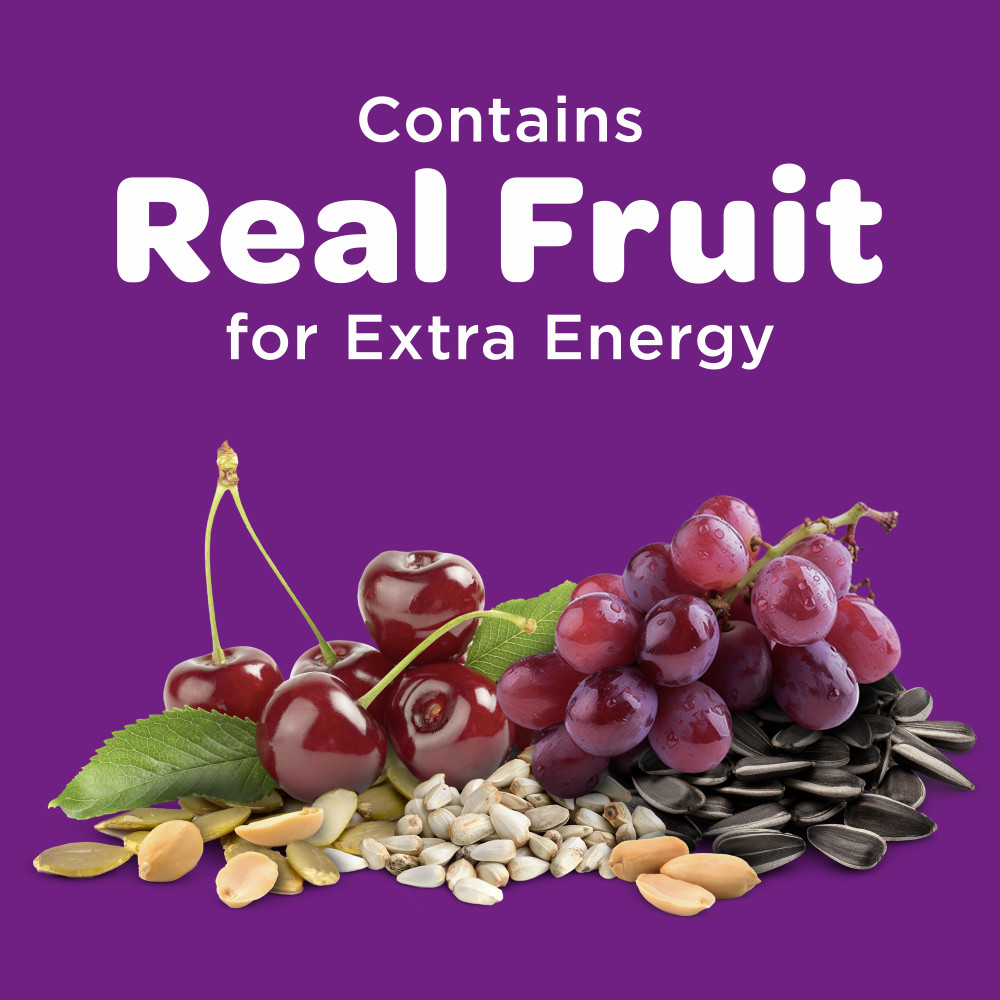 100061951-kaytee-nut-_-fruit-blend-wild-bird-food-5-pounds-2
