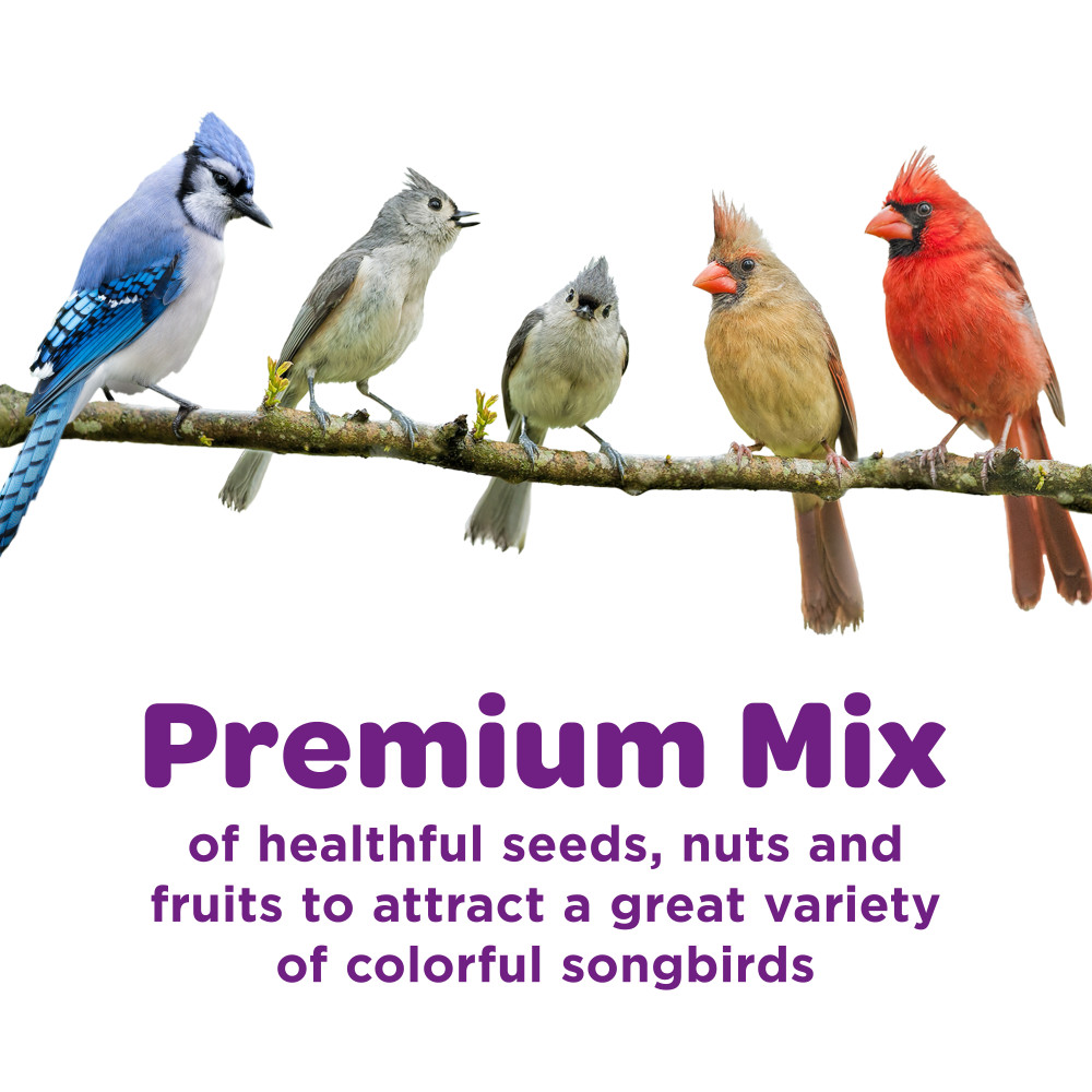 100061951-kaytee-nut-_-fruit-blend-wild-bird-food-5-pounds-3
