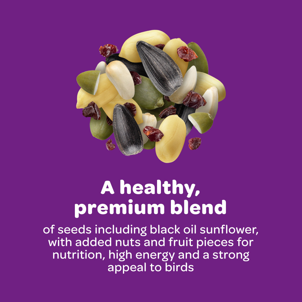 100061951-kaytee-nut-_-fruit-blend-wild-bird-food-5-pounds-6