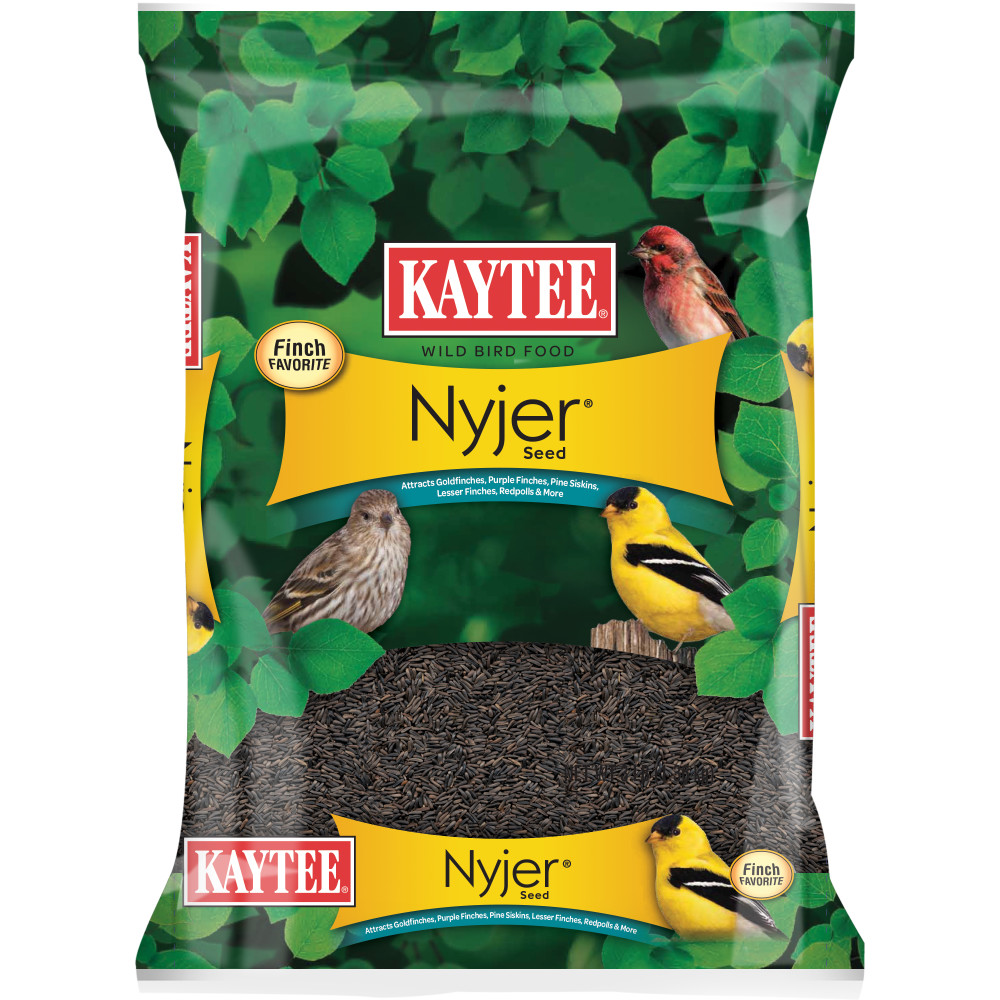 100061916-kaytee-food-nyjer_-3-pounds-1