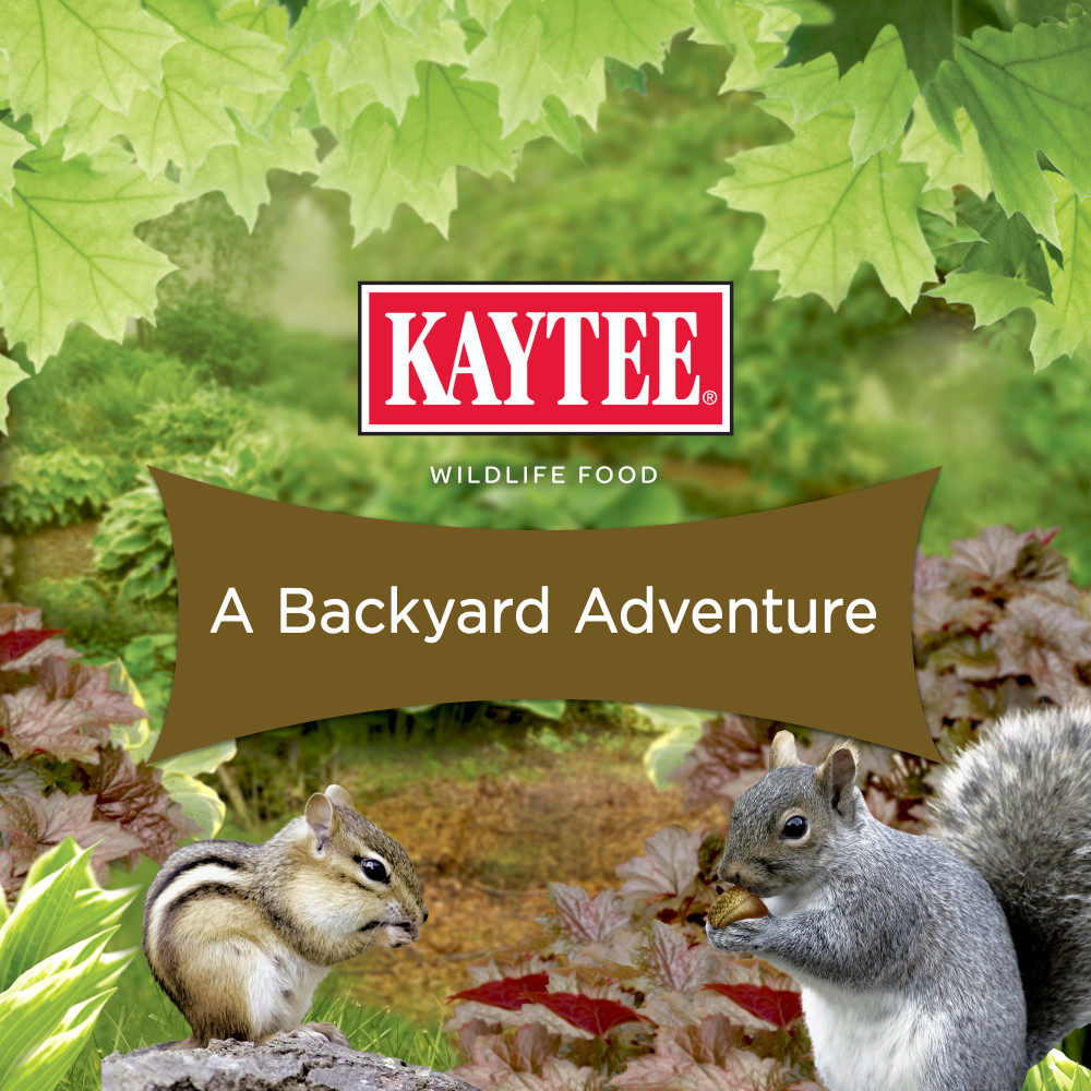 100061937-kaytee-squirrel-and-critter-blend-10-pounds-7